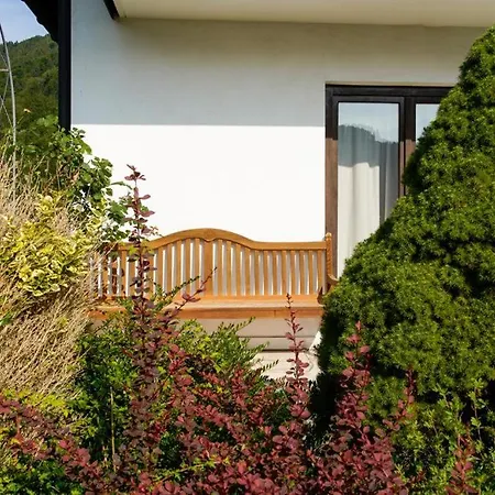 Naturparkresort Haus Geigenkogel 圣加伦